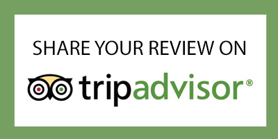 Travel Agent,Accommodation,Adventure Travel,Travel Advisor,Travel & Leisure